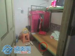 泽三中队外行动时查获一名超标电动车驾驶员涉